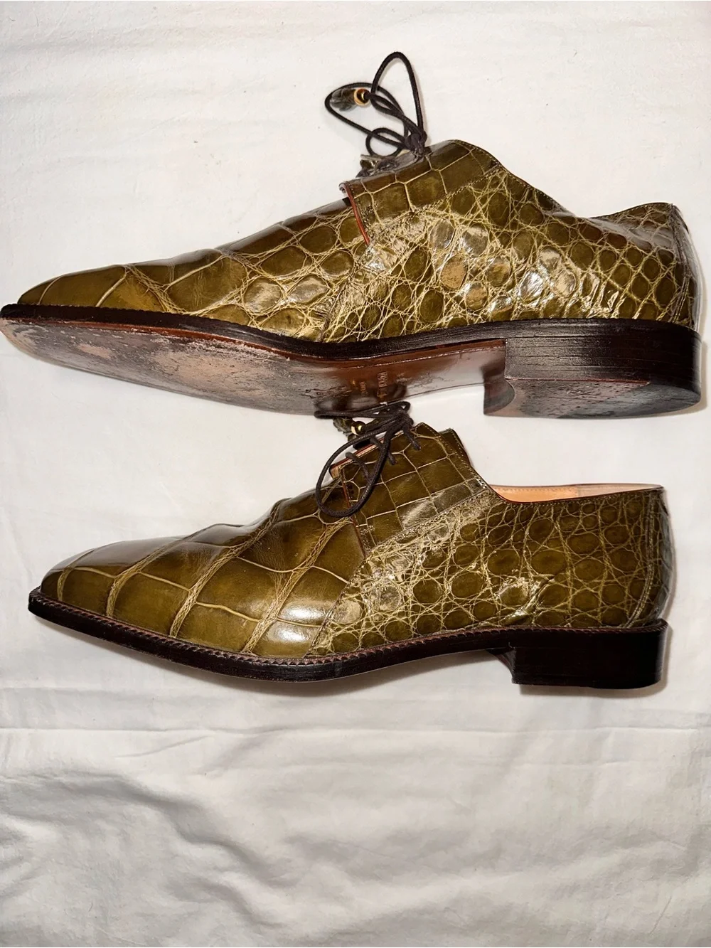 No.65 Michele Loisi Genuine Alligator Derby Dress Shoes in Olive Green